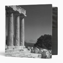Temple of Aphaea Binders