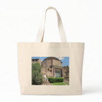 Temple of Divus Romulus -  4th century AD. bags