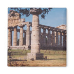 Temple of Hera Magnets