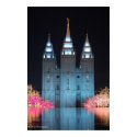 Temple Reflected posters