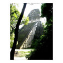 Temple V, Tikal, Guatemala posters