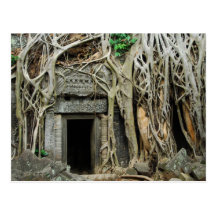 temples angkor post card