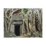 temples angkor post card