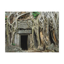 temples angkor post card