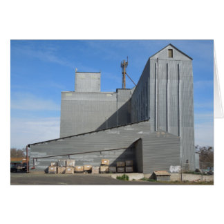 templeton gifts on zazzle templeton gifts on zazzle