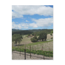 Templeton Wine Country at the End of May Post Cards