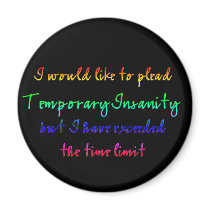 Temporary Insanity magnets