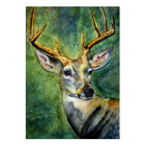Ten Pointer (Deer) ACEO Art Trading Cards business cards