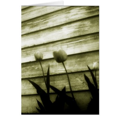 tenacity greeting cards by mhartford