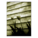 tenacity cards by mhartford tenacity cards