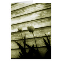 tenacity cards