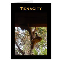 Tenacity Card