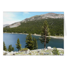 Tenaya Lake Card