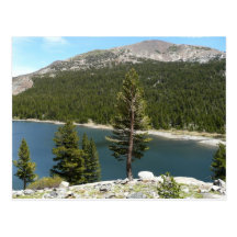 Tenaya Lake Postcard
