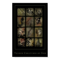 tender creatures of god posters by nineveh tender creatures of god posters