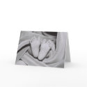 Tender Feet cards by Cheryl_Flagler Tender Feet cards