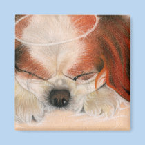 Tender Heart Angel Puppy Magnet magnets