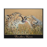 Tender Kiss Cheetah Baby &amp; Mom postcard