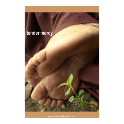 Tender Mercy - Poster by rainbowdharma