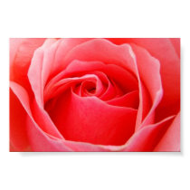 tender rose posters by antoni tender rose posters