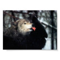 Tenderness posters
