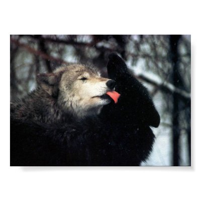 Tenderness Poster by Minou1