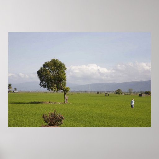 Tending the fields. poster