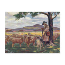 Tending the Sheep Vintage Post Card