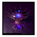 Tendrella posters