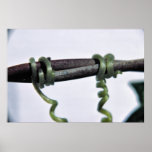 Tendrils Print