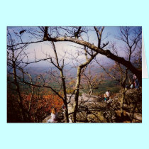 Tennessee Afternoon cards