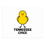 Tennessee Chick Postcard