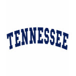 Tennessee College T-shirt