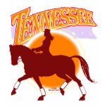 Tennessee dressage sunrise shirt F/B