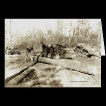 Tennessee Lumberjacks cards