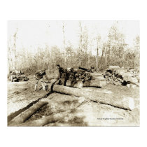 Tennessee Lumberjacks posters