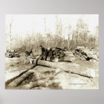 Tennessee Lumberjacks Poster