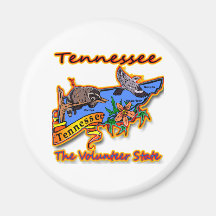 Tennessee The Volunteer State Racoon Flower Bird B Fridge Magnets