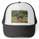 Tennessee Walker Filly Ball Cap hats