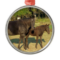 Tennessee Walking Horse Mare and Foal Christmas Ornaments