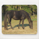 standard_mousepad - A tennessee Walking Horse Mare