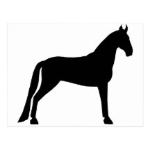 Tennessee Walking Horse Postcard