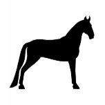 Tennessee Walking Horse
