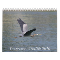 Tennessee Wildlife 2010 calendars