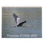 Tennessee Wildlife 2010 Calendars