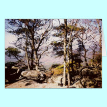 Tennessee Wilds cards