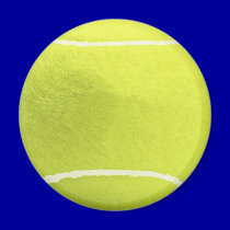 Tennis Ball Magnet