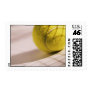 tennis ball stamp