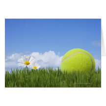 Tennis Balls Cards