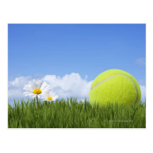Tennis Balls Post Card